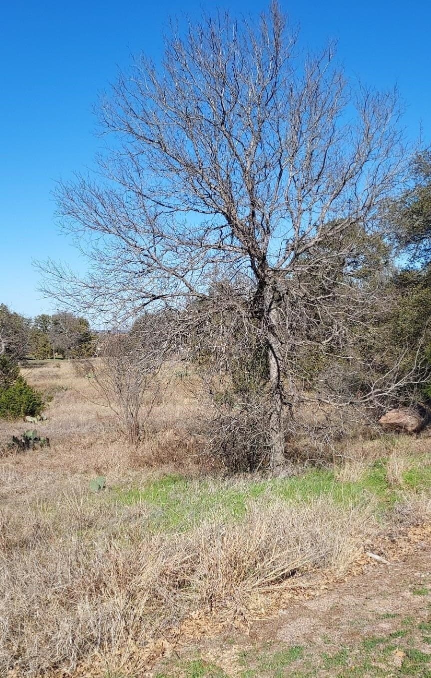 1.06 acres in Llano County featured view