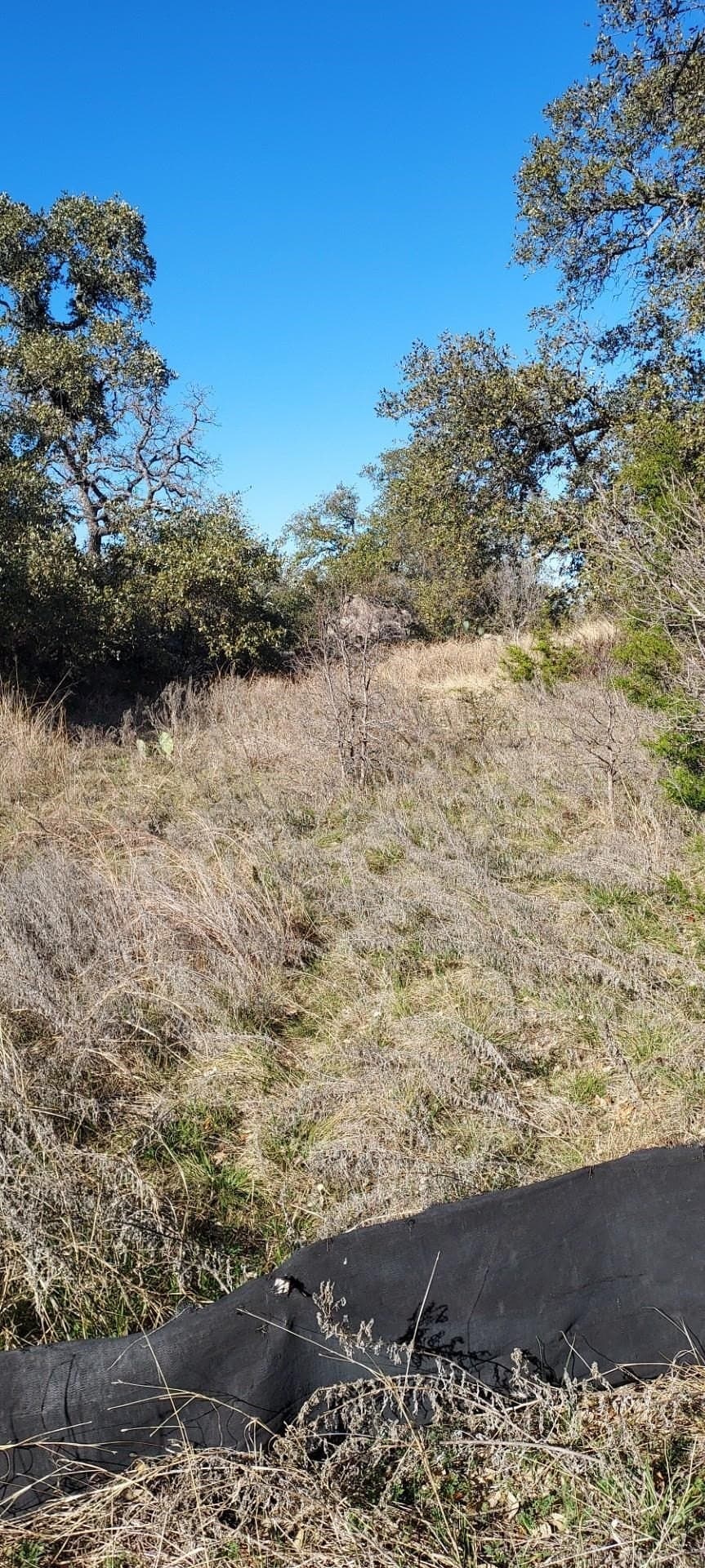 1.06 acres in Llano County gallery image 2