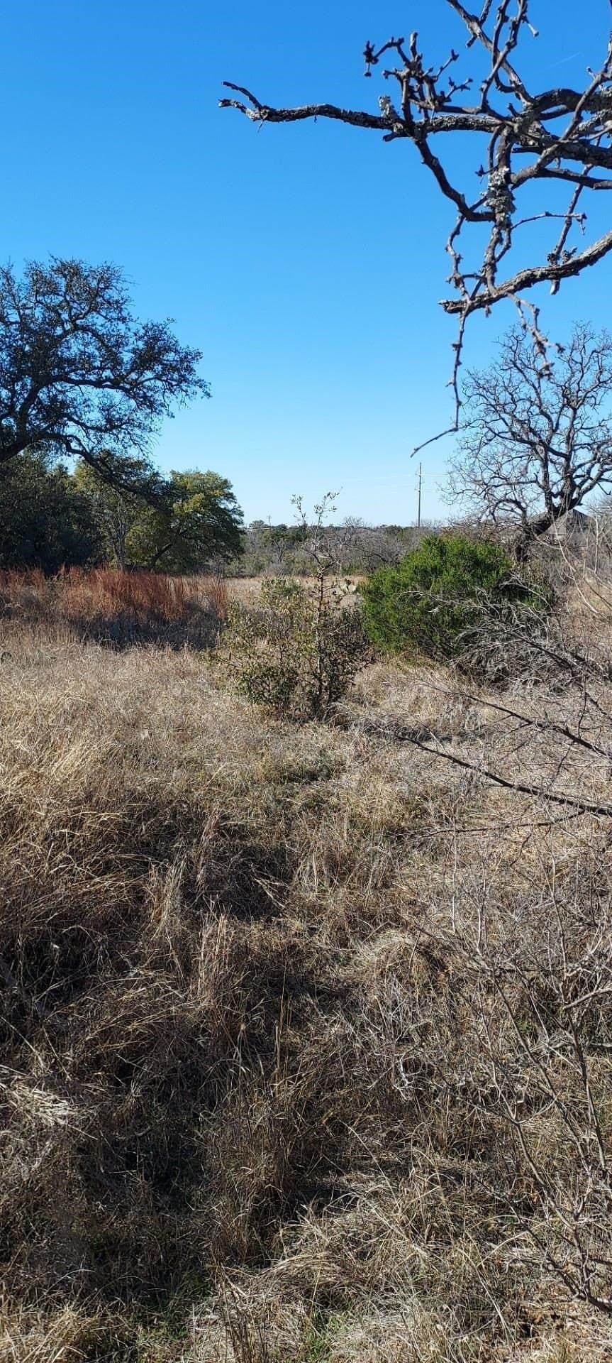 1.06 acres in Llano County gallery image 3