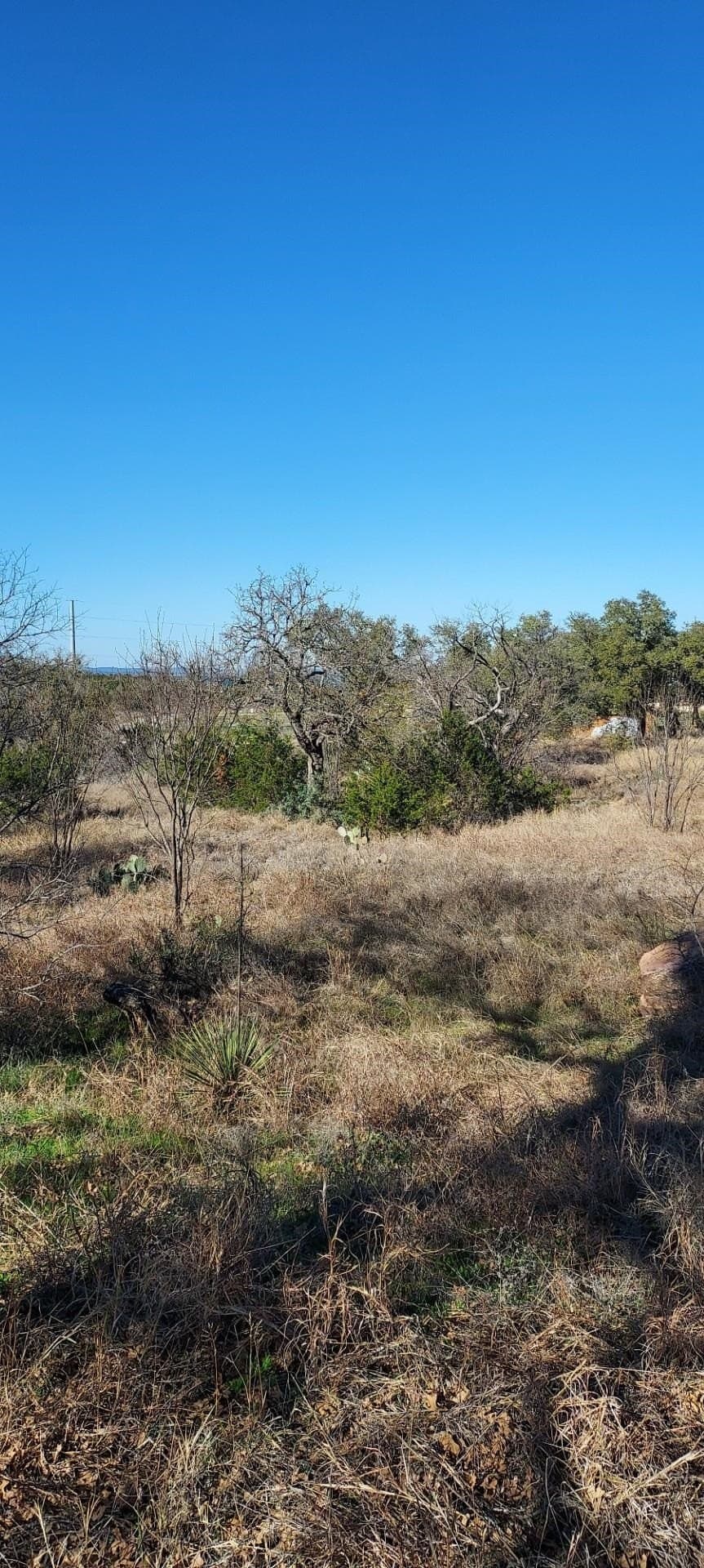 1.06 acres in Llano County gallery image 4