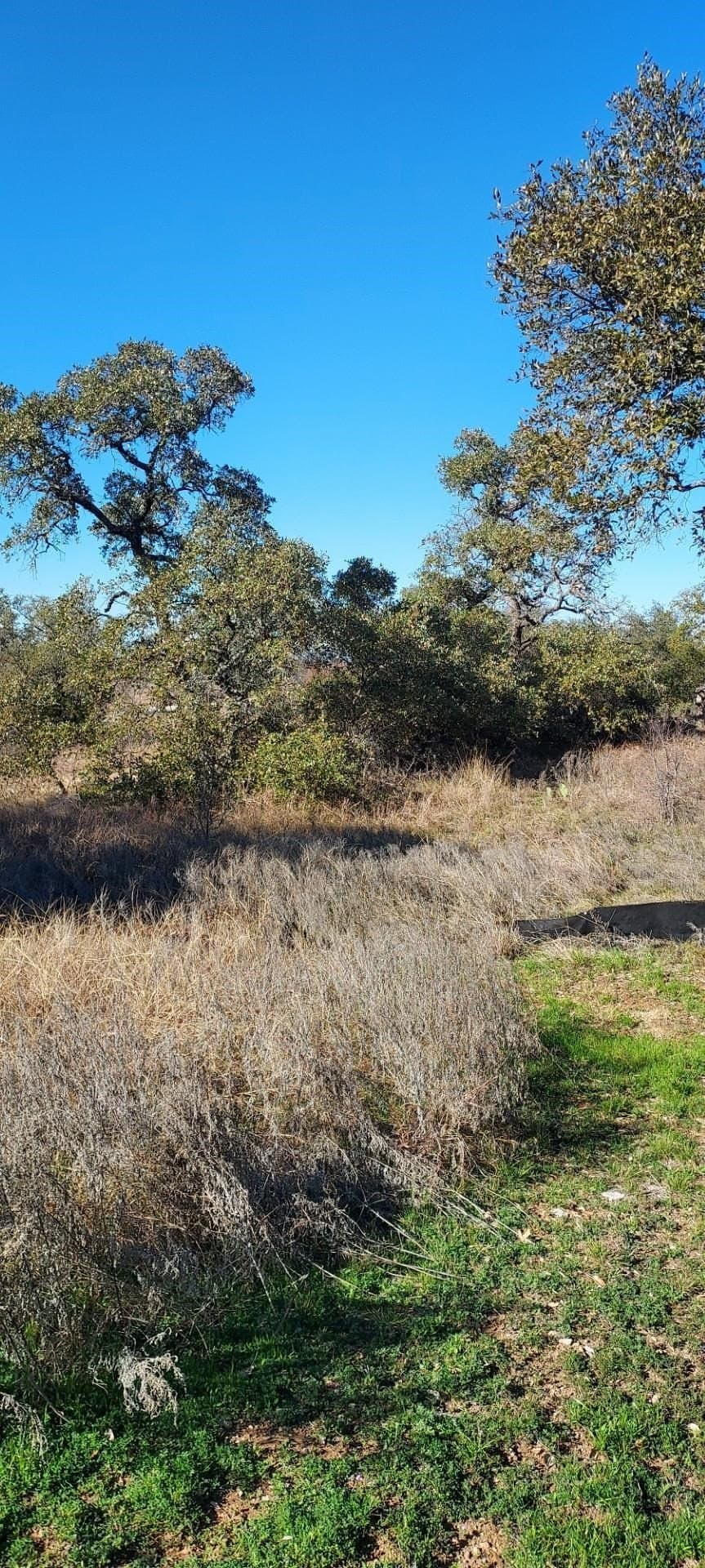 1.06 acres in Llano County - photo 8