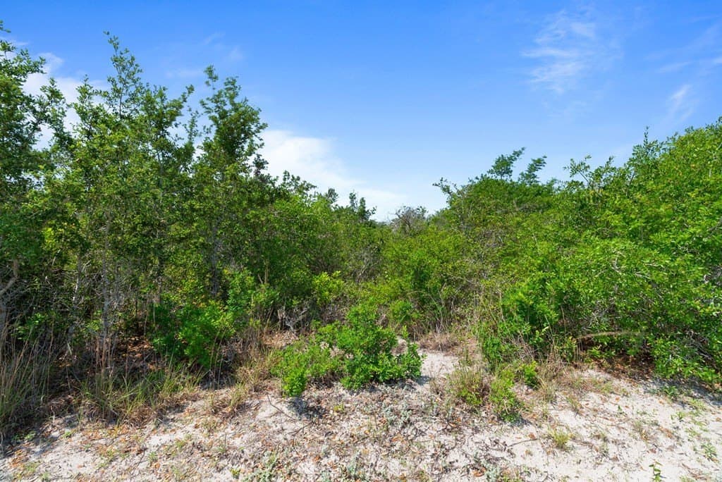 5 acres in Texas County gallery image 2