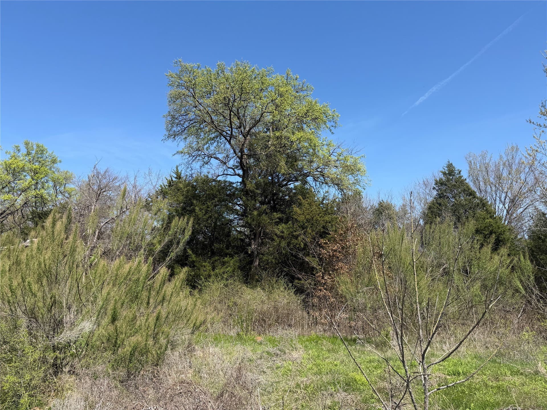 2.96 acres in Tarrant County - photo 4