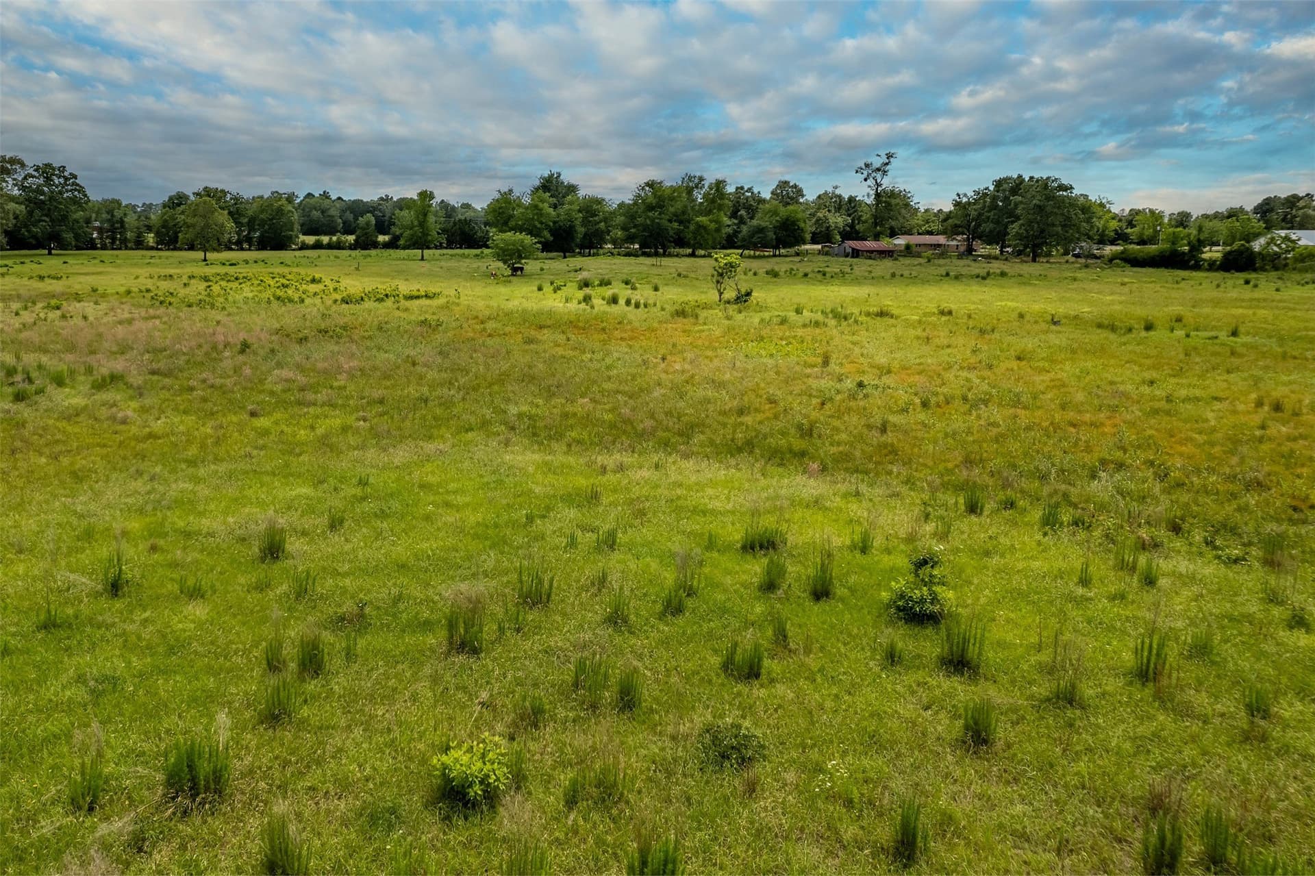 31.2 acres in Wood County - photo 34