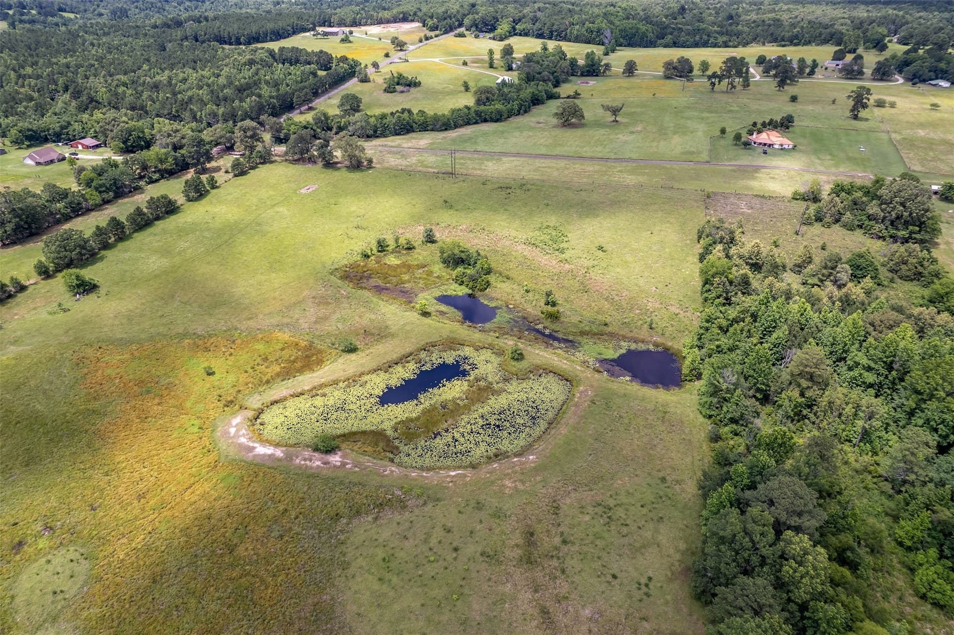 31.2 acres in Wood County - photo 25