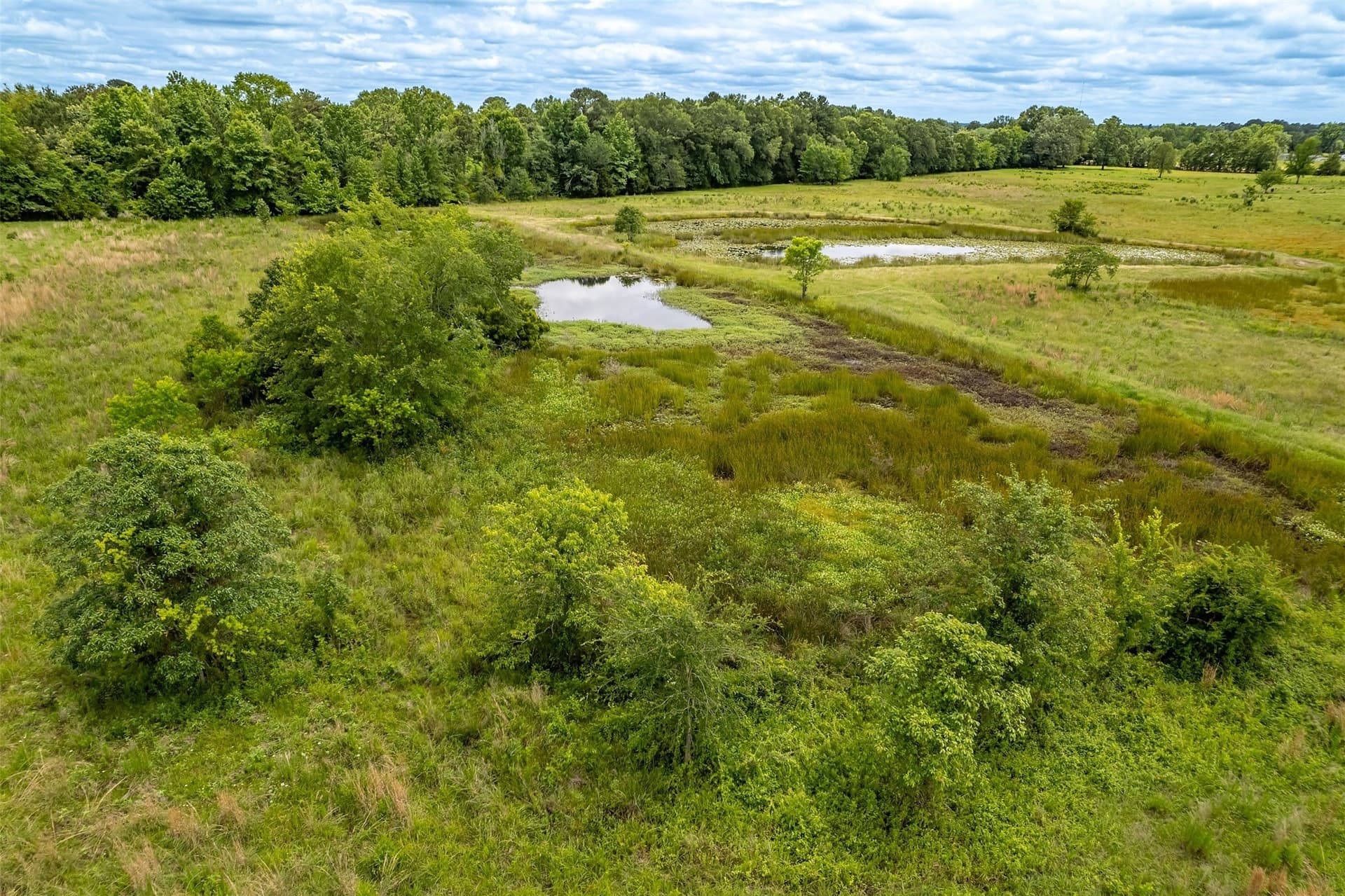 31.2 acres in Wood County - photo 29