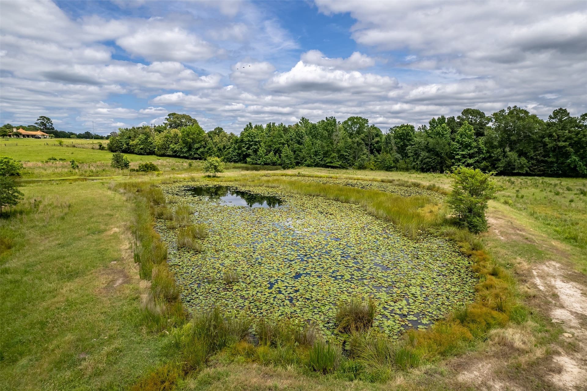 31.2 acres in Wood County - photo 31