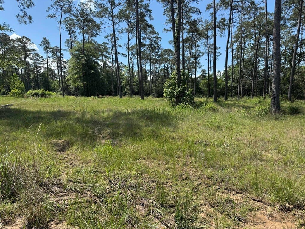 1.4 acres in Texas County featured view