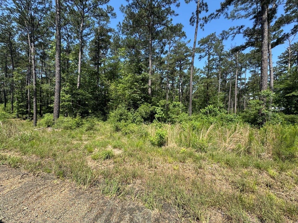 1.4 acres in Texas County gallery image 3
