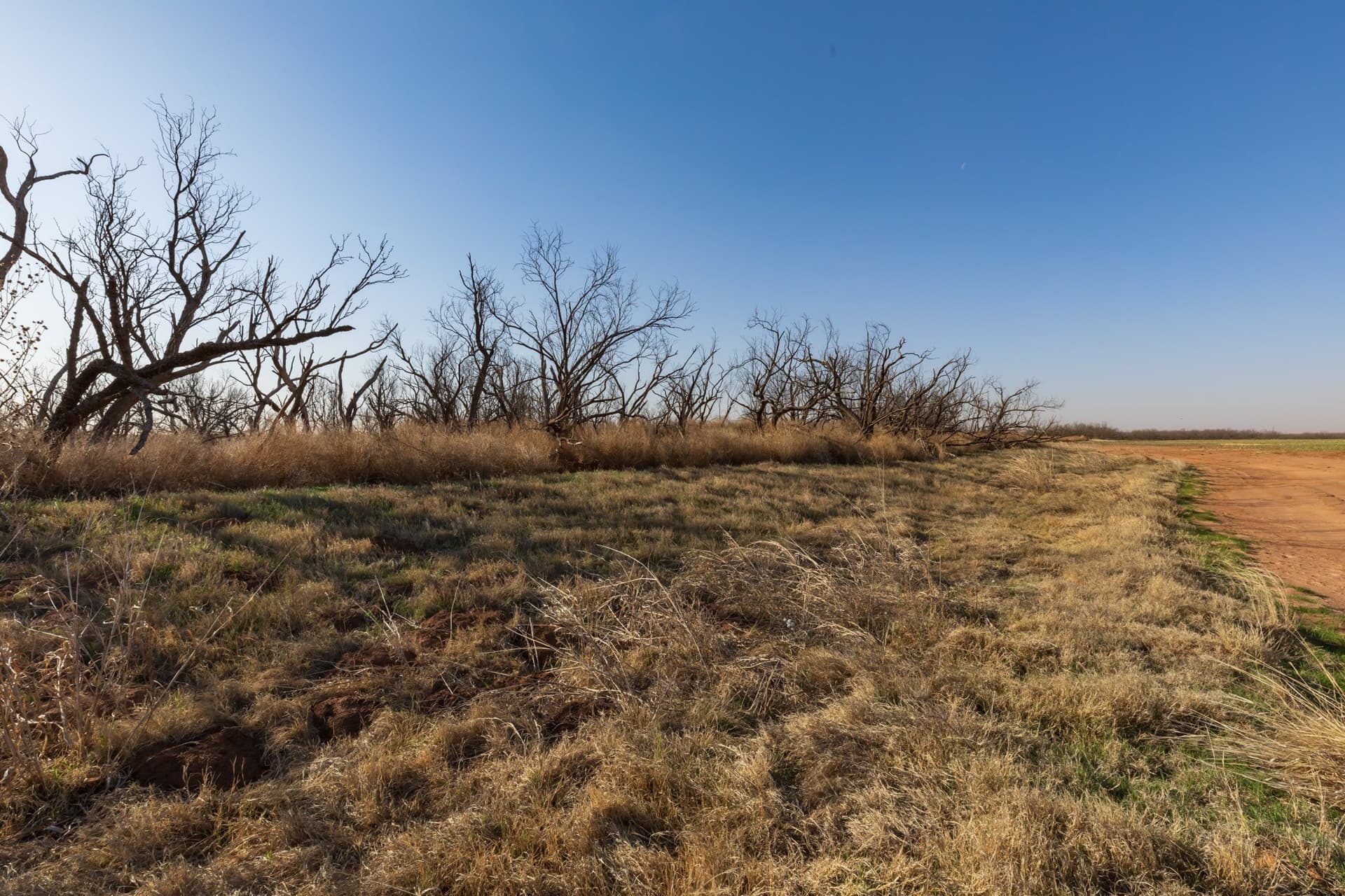 182.1 acres in Fisher County - photo 18