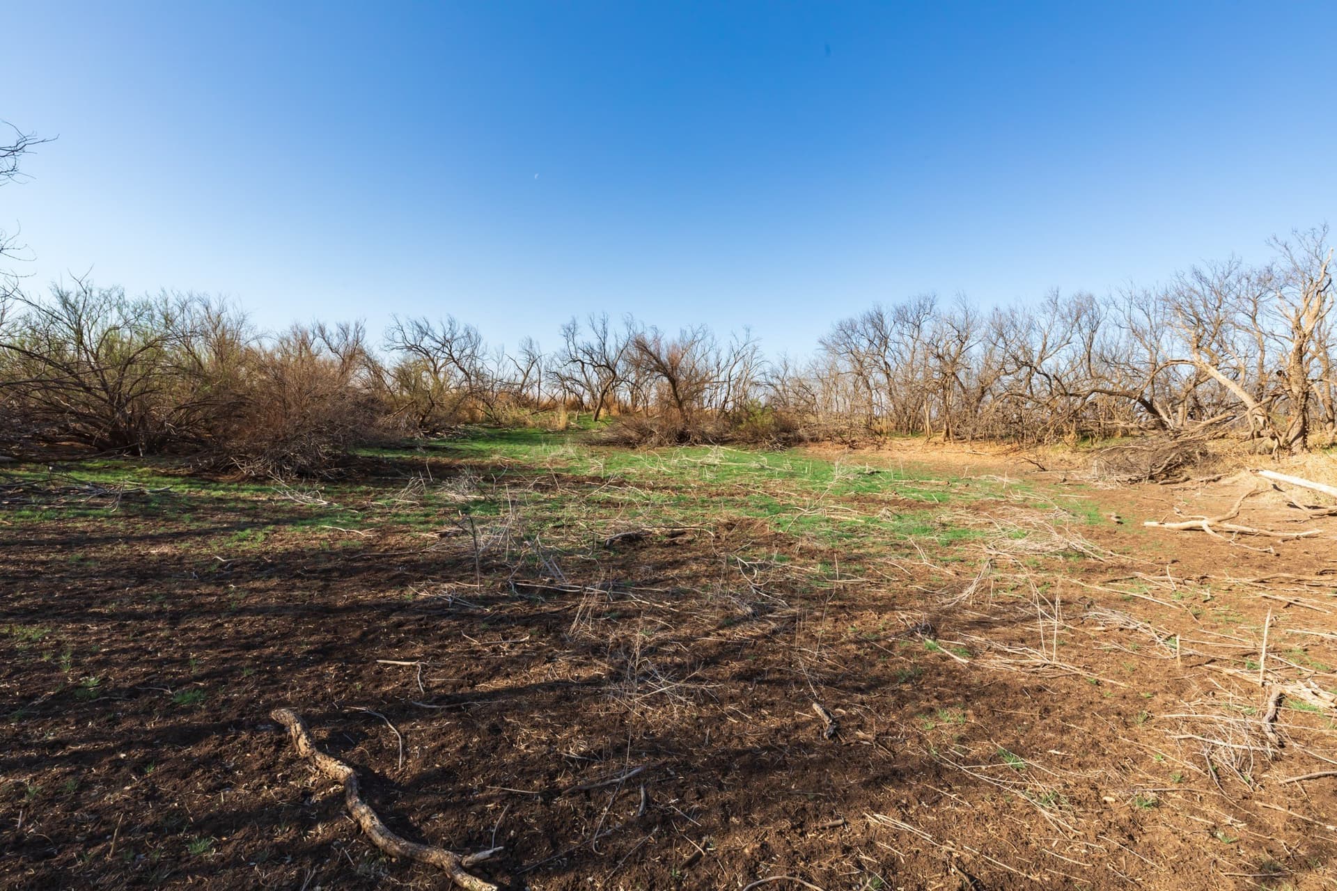 182.1 acres in Fisher County - photo 24