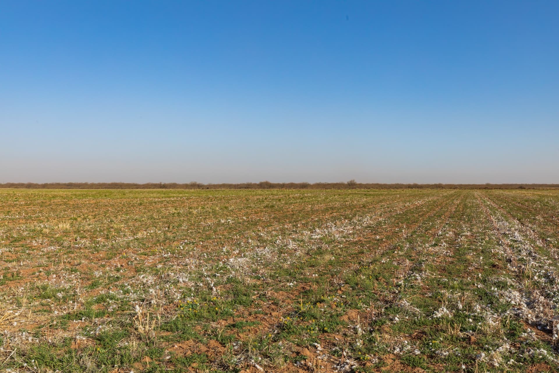 182.1 acres in Fisher County - photo 15