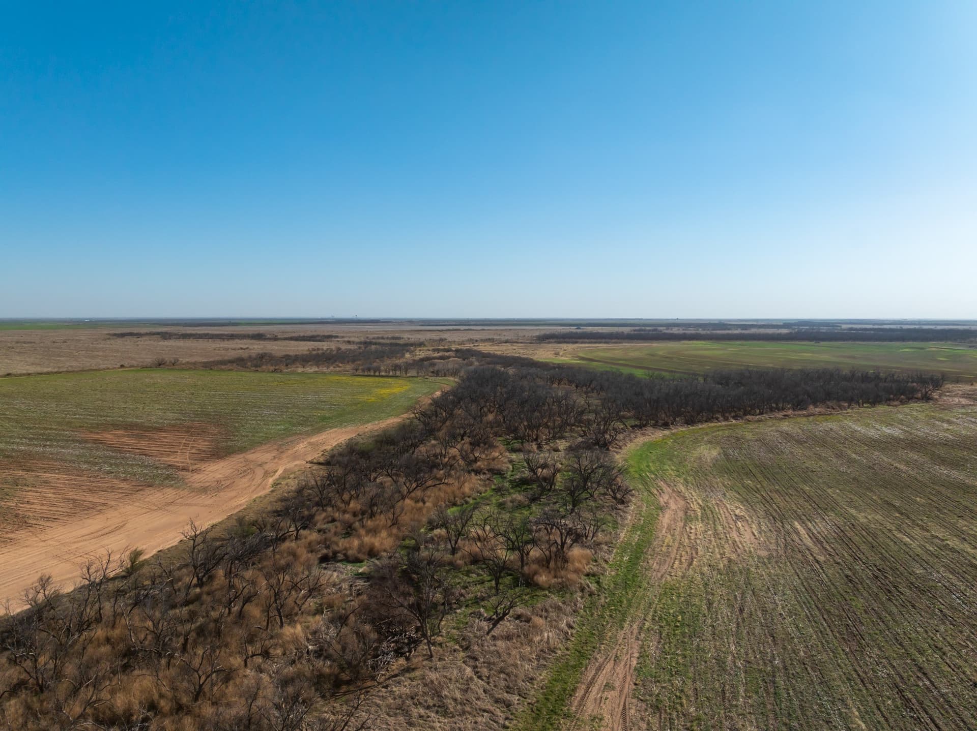 182.1 acres in Fisher County - photo 27
