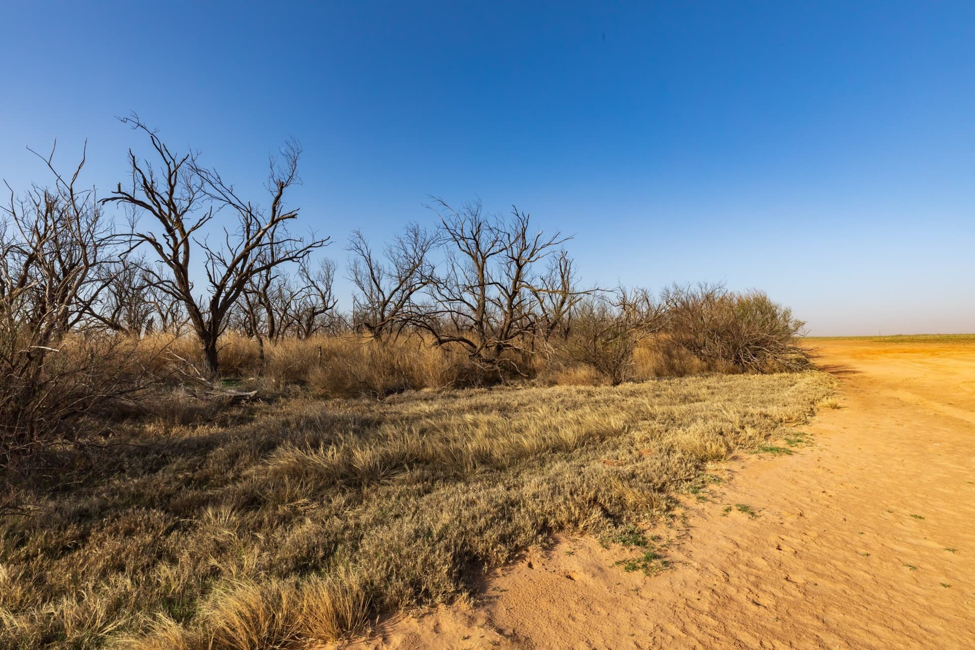 182.1 acres in Fisher County - photo 9