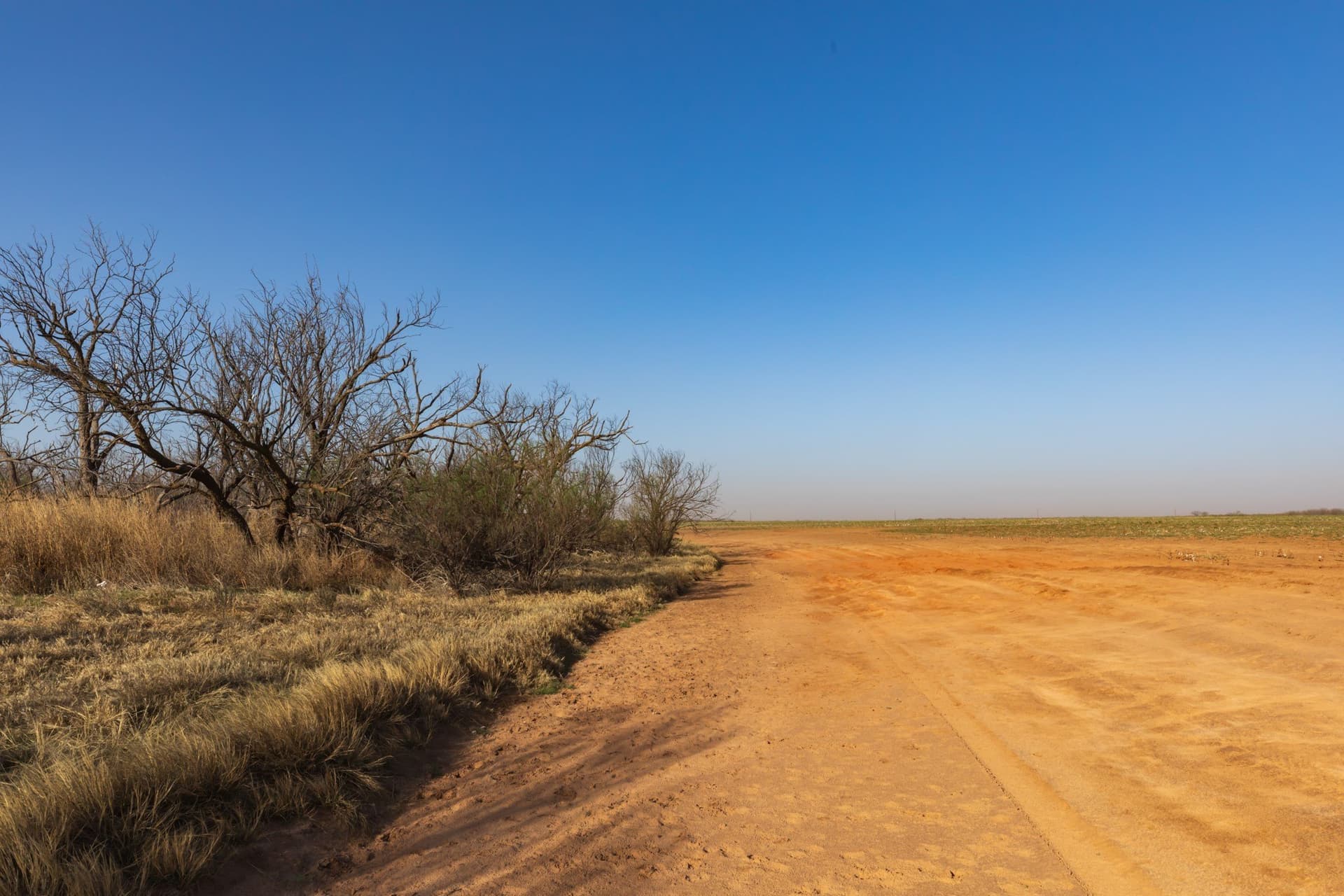182.1 acres in Fisher County - photo 10