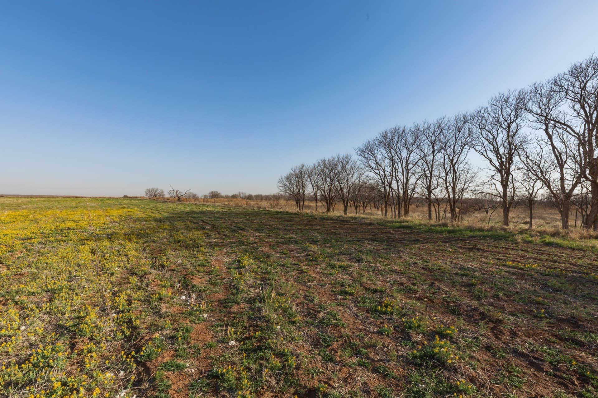 182.1 acres in Fisher County
