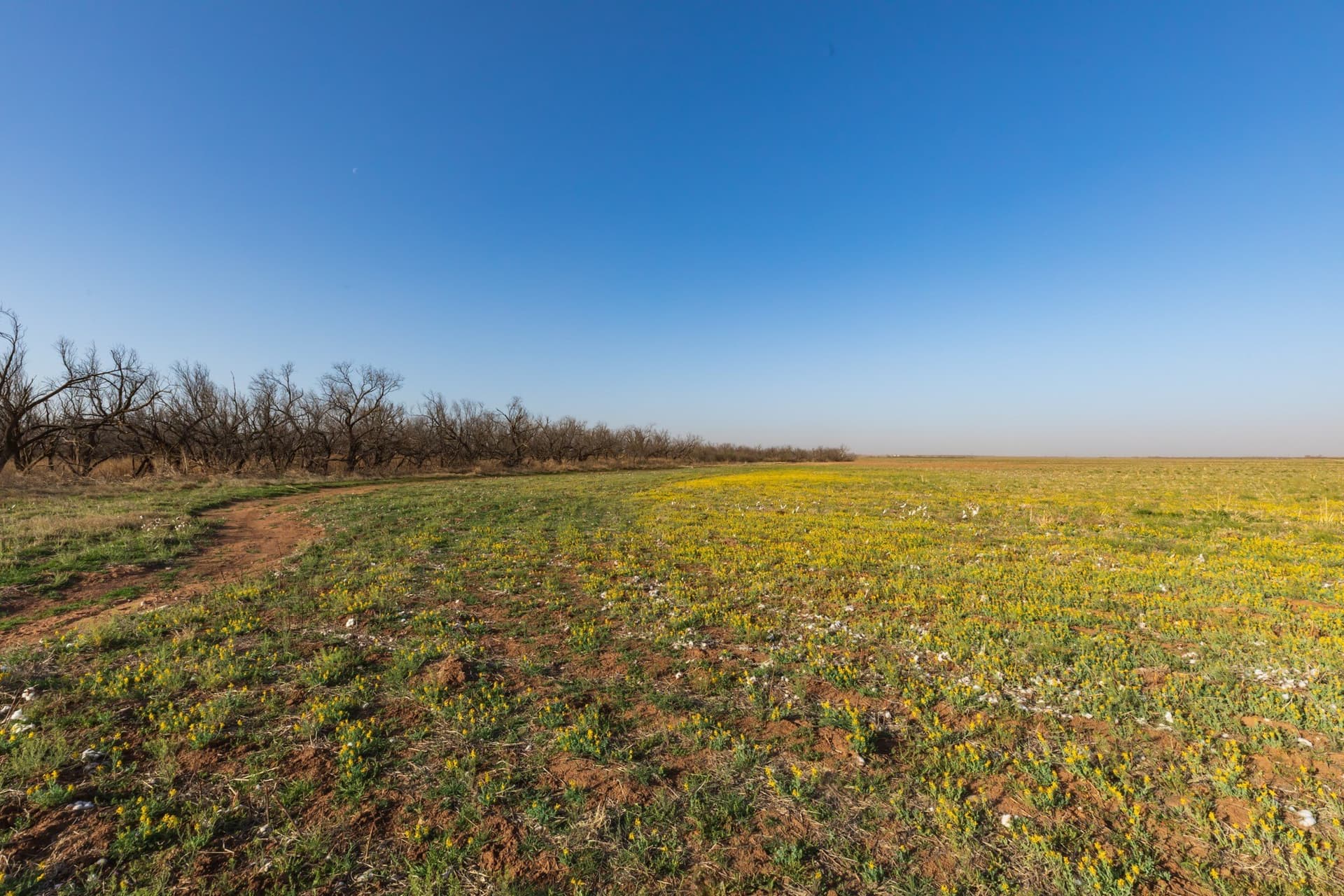 182.1 acres in Fisher County - photo 14