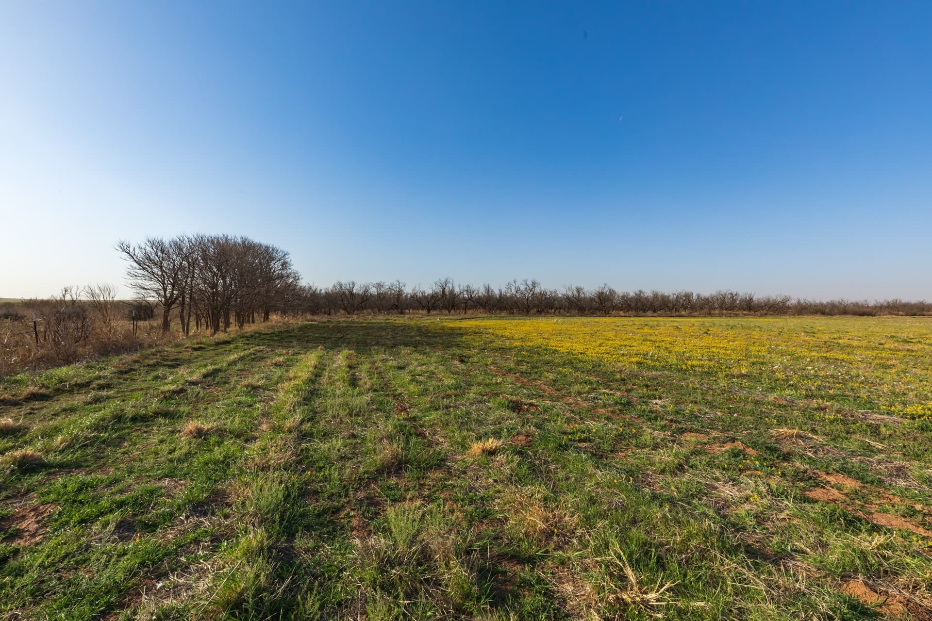 182.1 acres in Fisher County featured view