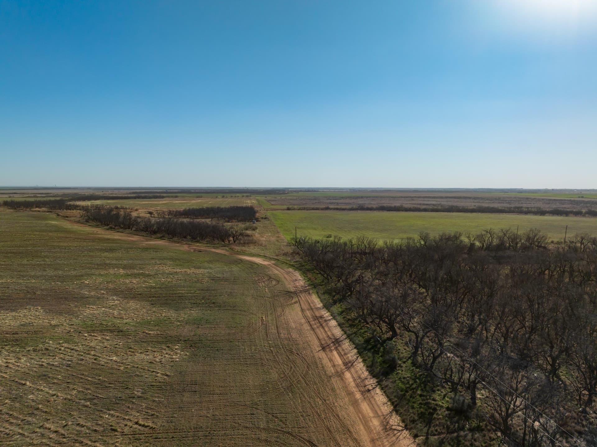 182.1 acres in Fisher County - photo 16