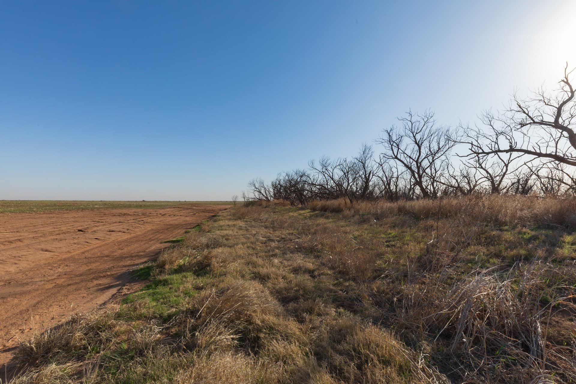 182.1 acres in Fisher County - photo 19