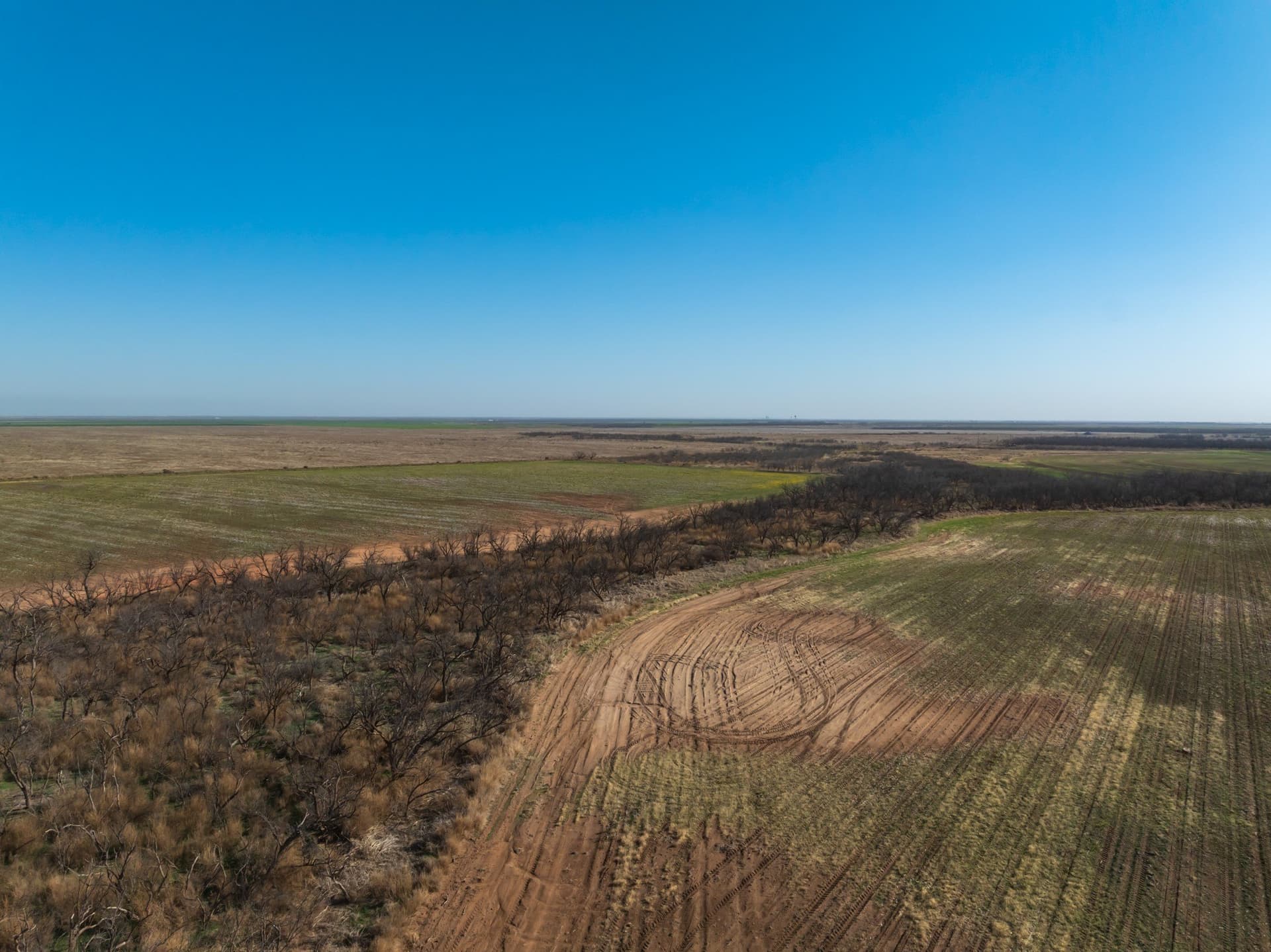 182.1 acres in Fisher County - photo 8