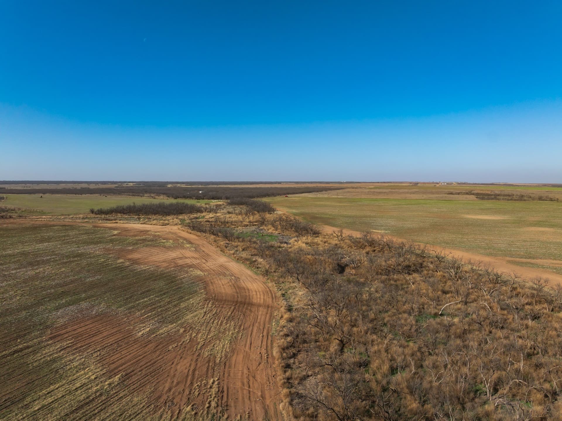 182.1 acres in Fisher County - photo 6