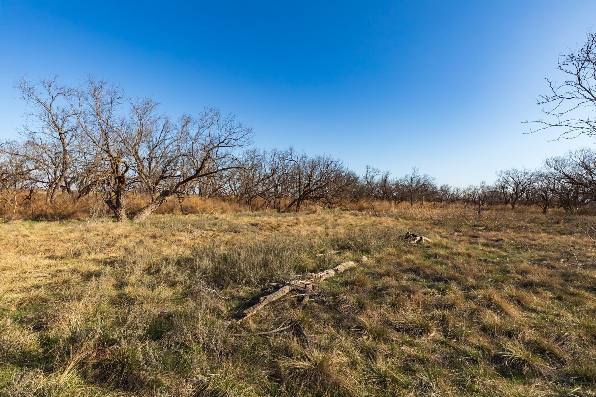 182.1 acres in Fisher County - photo 21