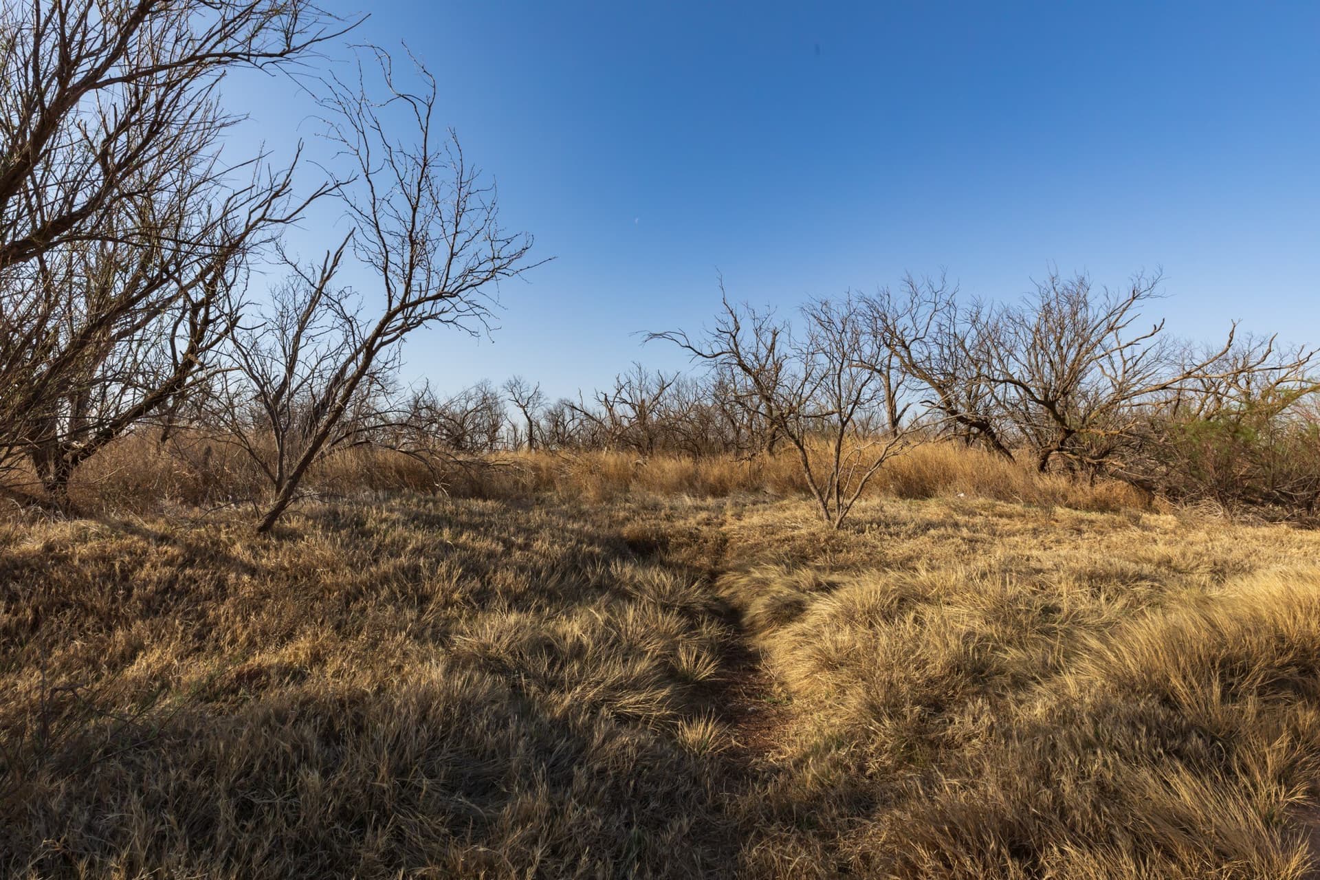 182.1 acres in Fisher County - photo 7