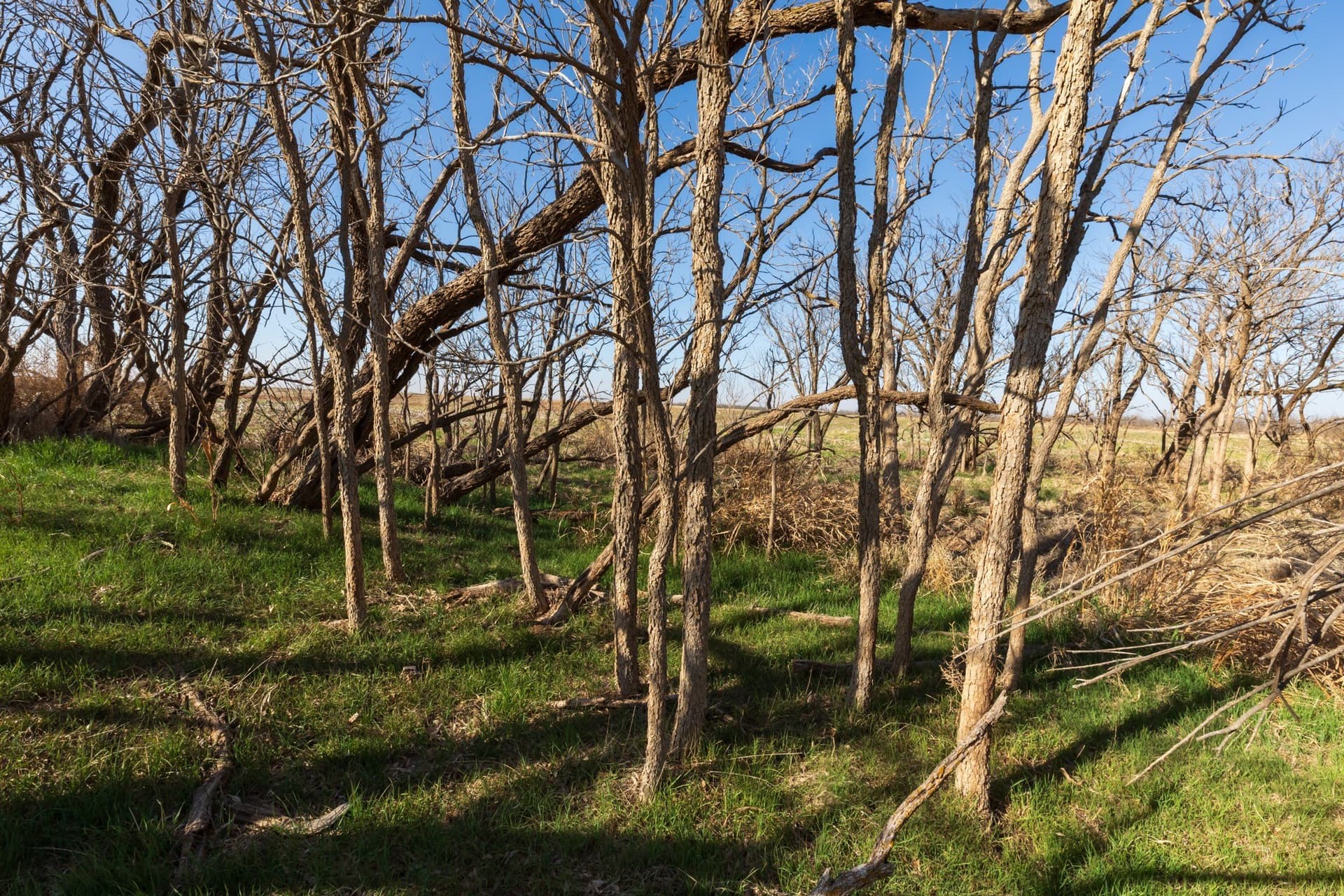 182.1 acres in Fisher County - photo 25