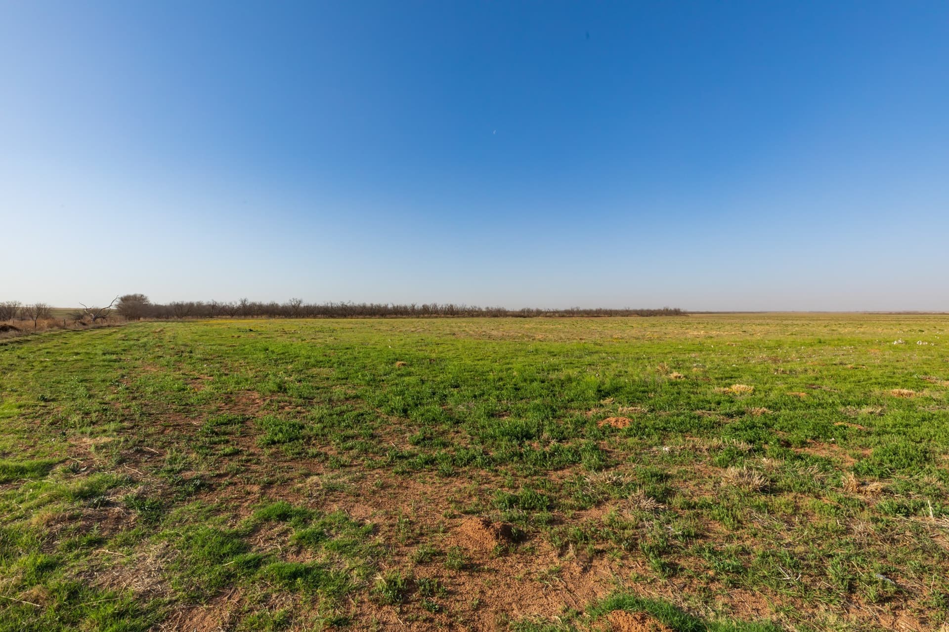 182.1 acres in Fisher County gallery image 4