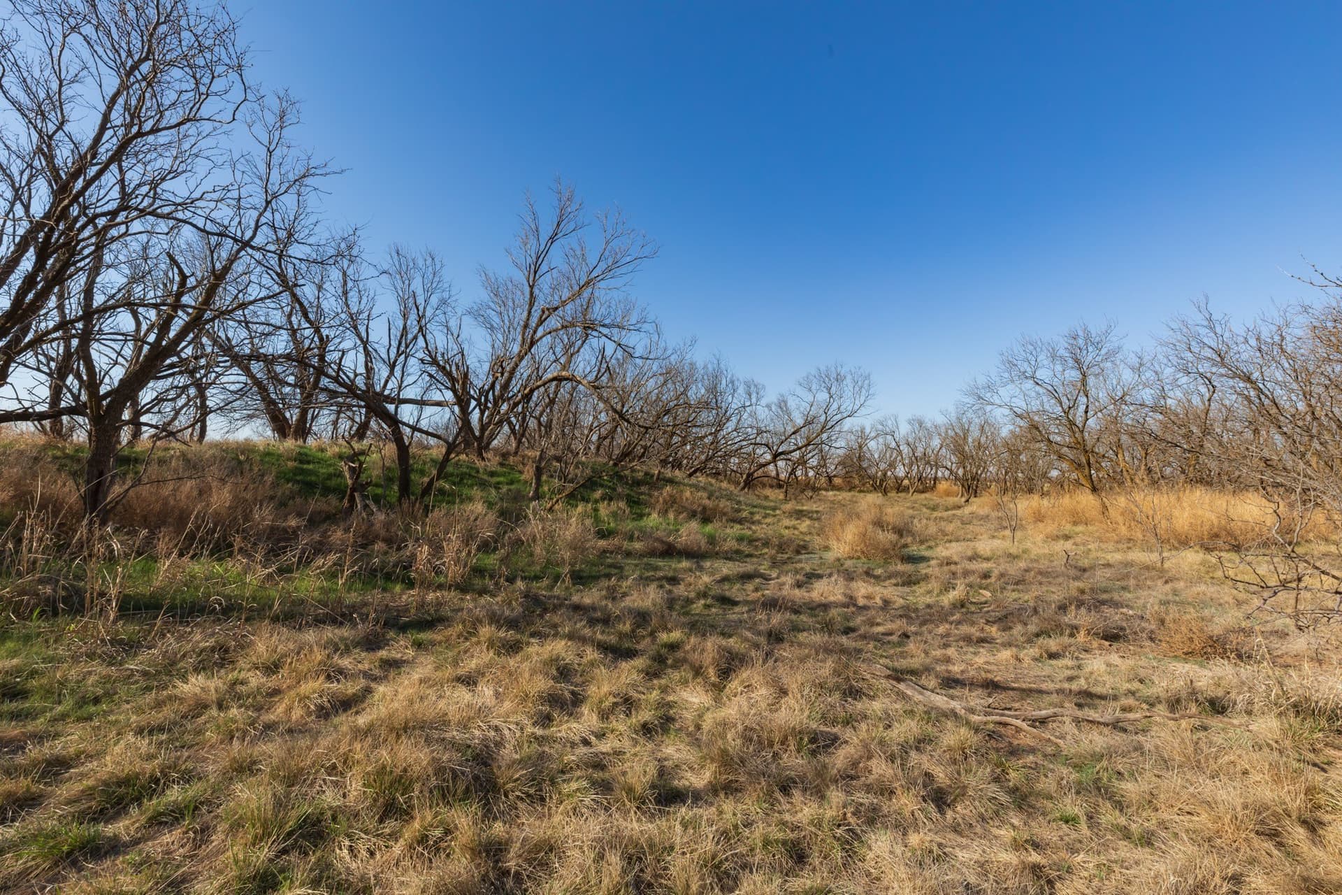 182.1 acres in Fisher County - photo 23