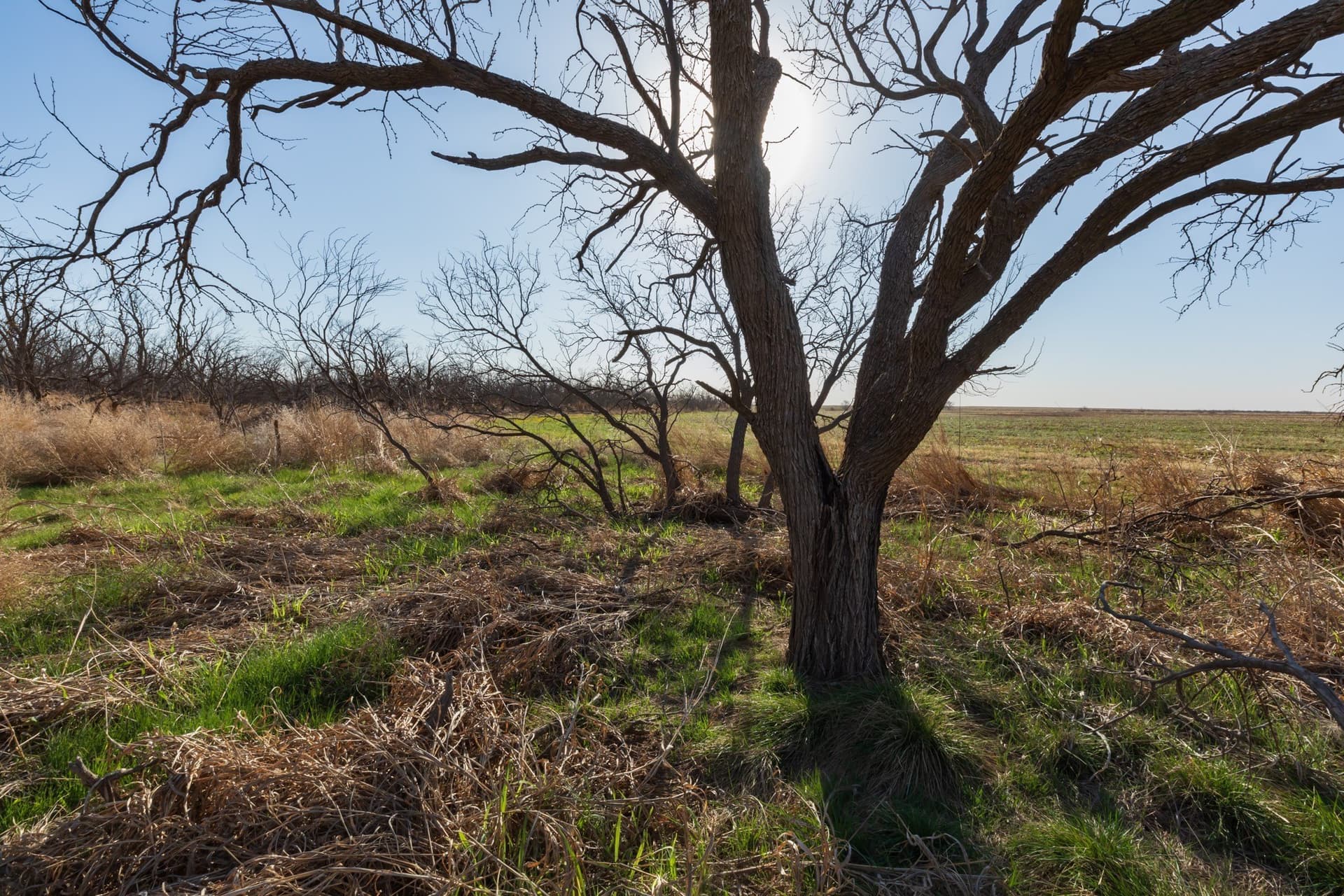 182.1 acres in Fisher County - photo 20