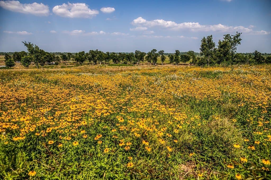 64.48 acres in Washington County - photo 6