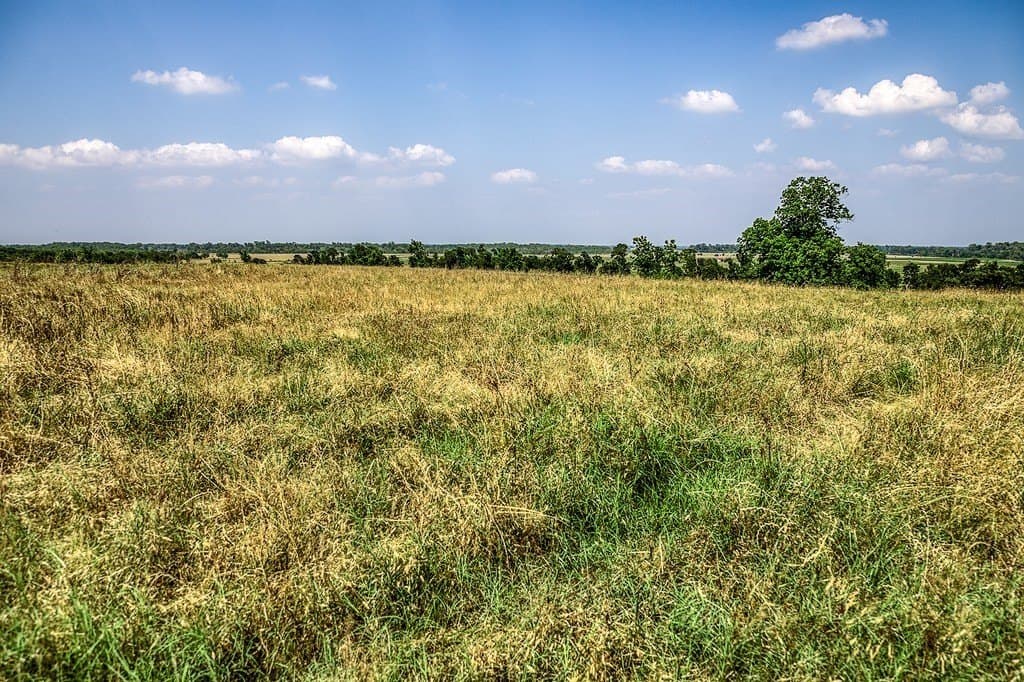 64.48 acres in Washington County - photo 8