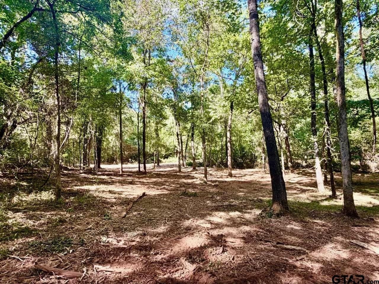 0.36 acres in Cherokee County - photo 10