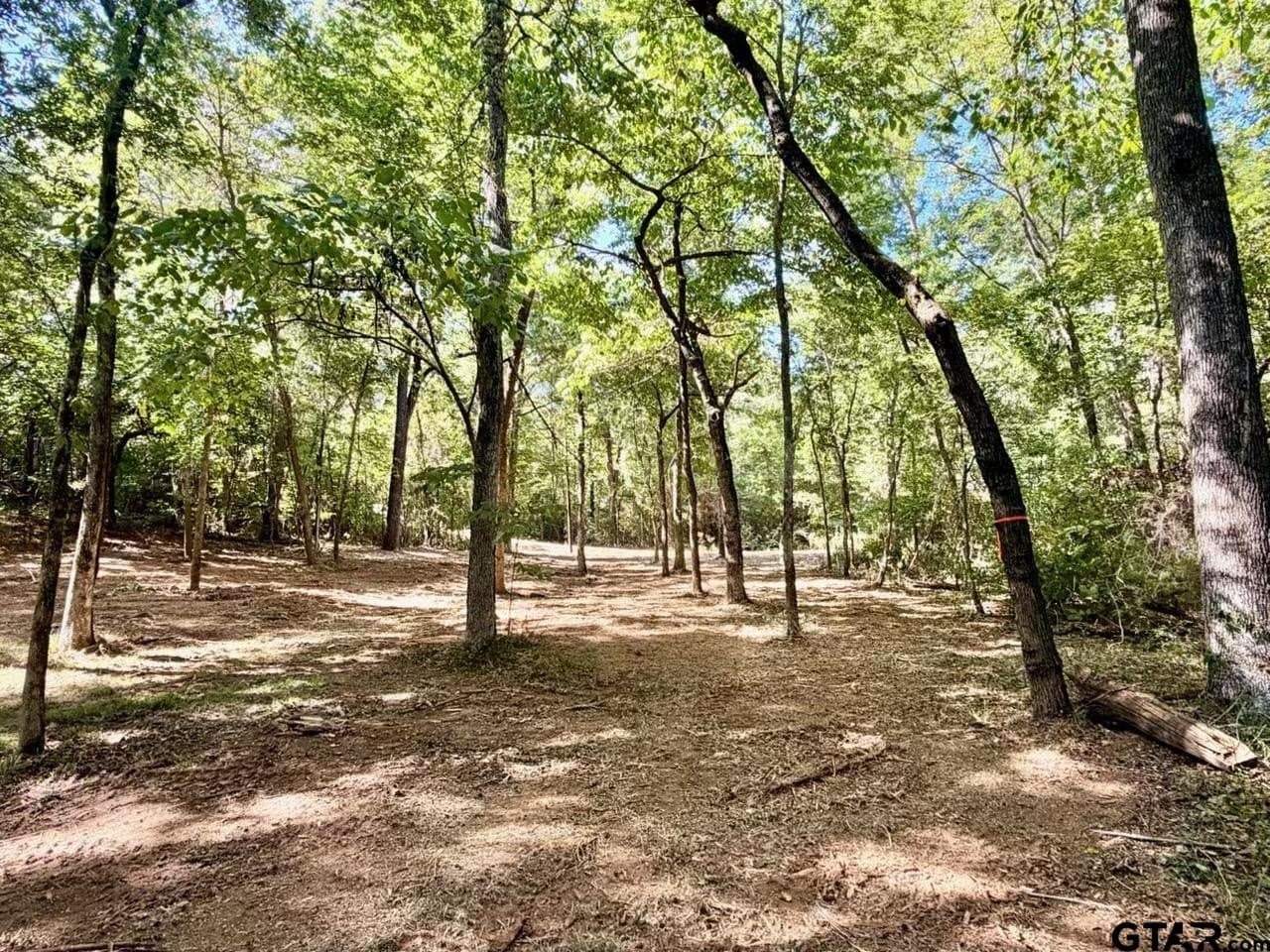 0.36 acres in Cherokee County - photo 6