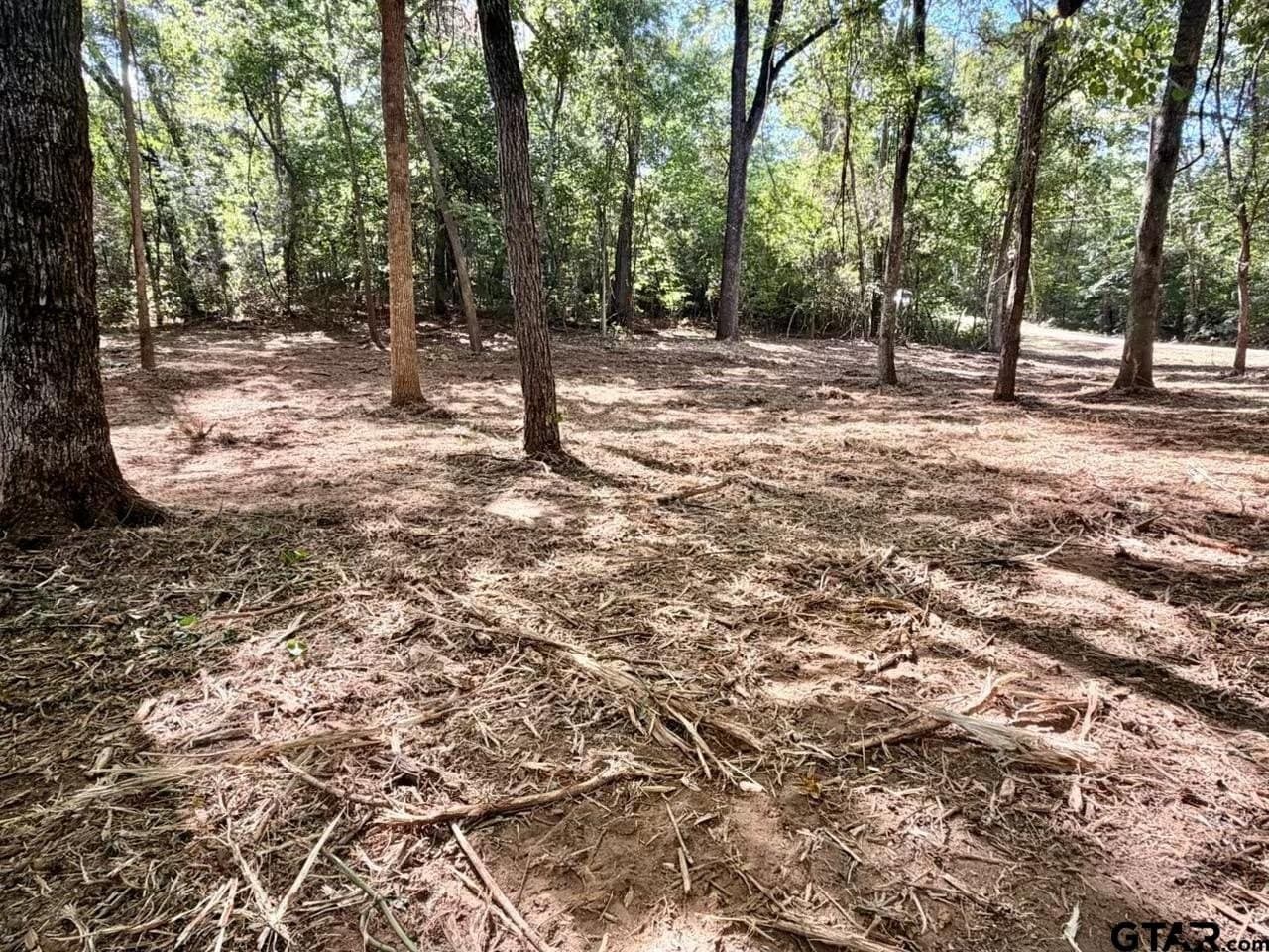 0.36 acres in Cherokee County - photo 5