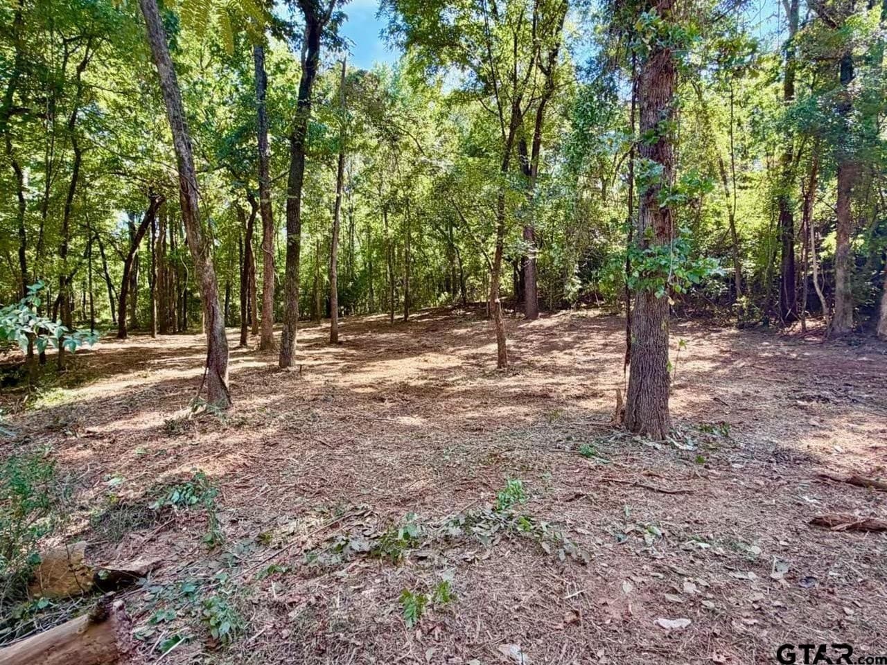 0.36 acres in Cherokee County - photo 3