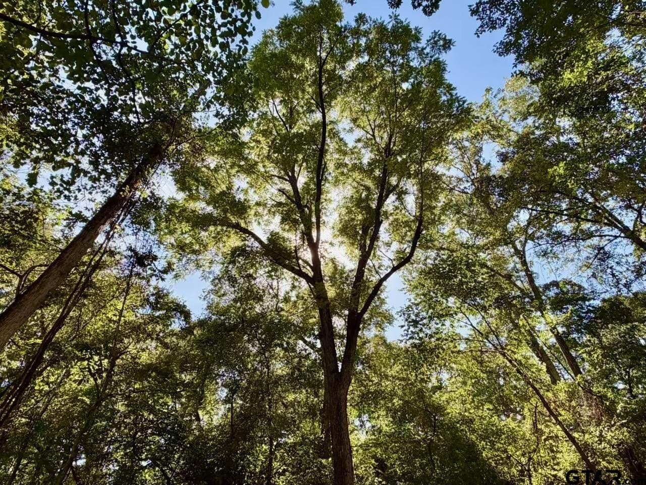 0.36 acres in Cherokee County - photo 4