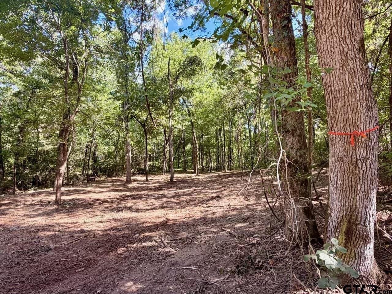 0.36 acres in Cherokee County - photo 7