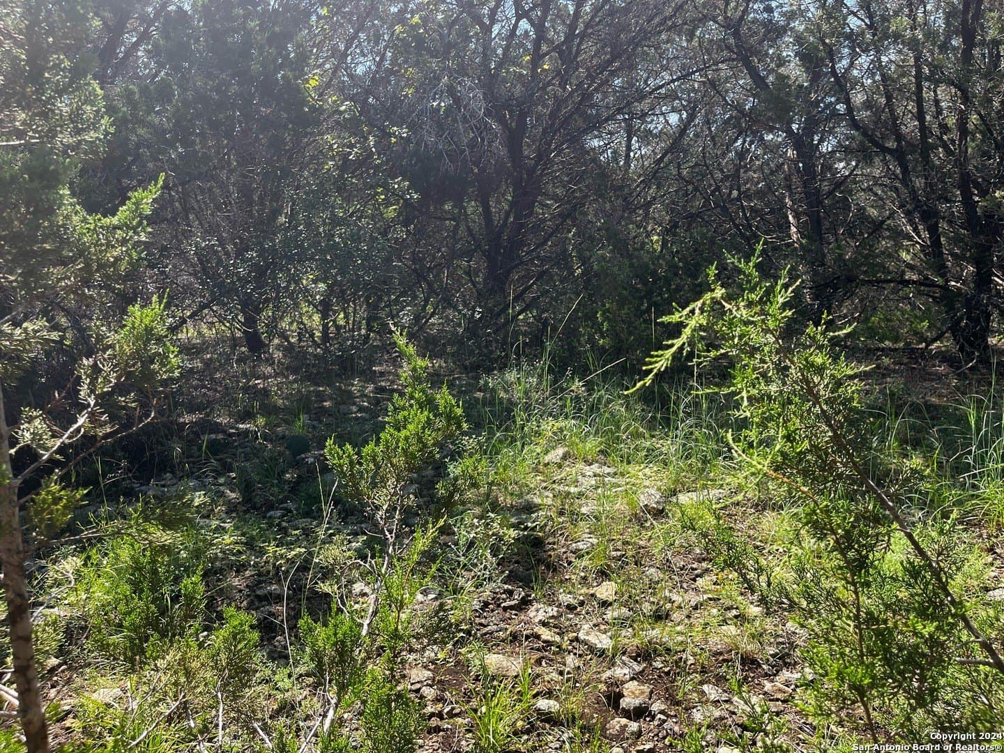 0.28 acres in Comal County featured view