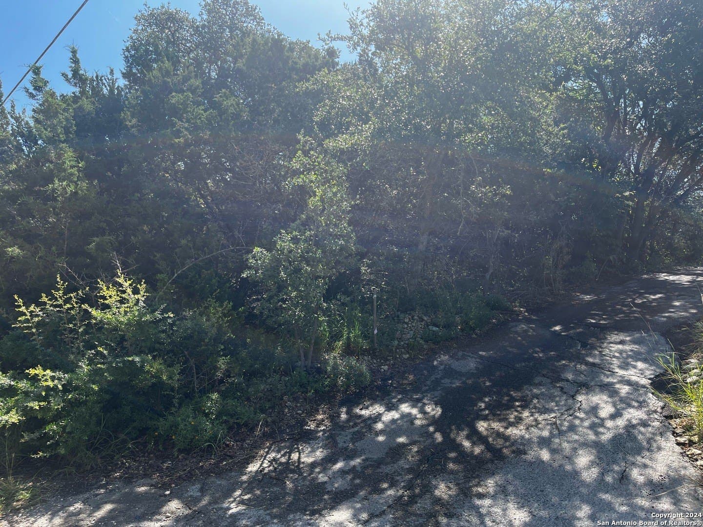 0.28 acres in Comal County gallery image 4