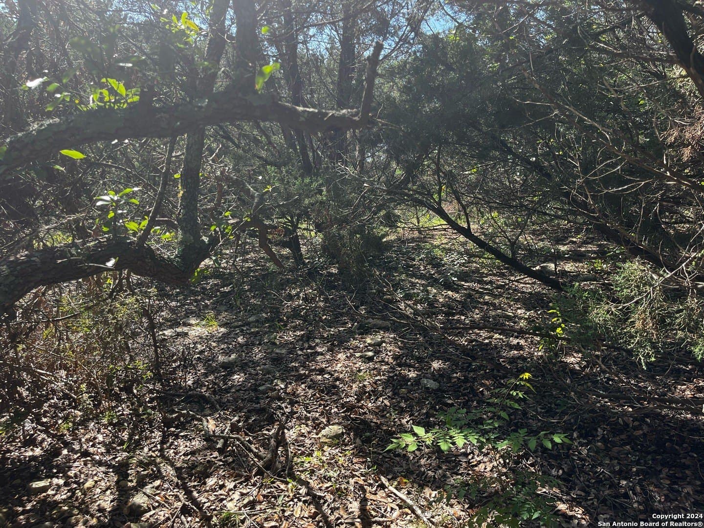 0.28 acres in Comal County gallery image 2