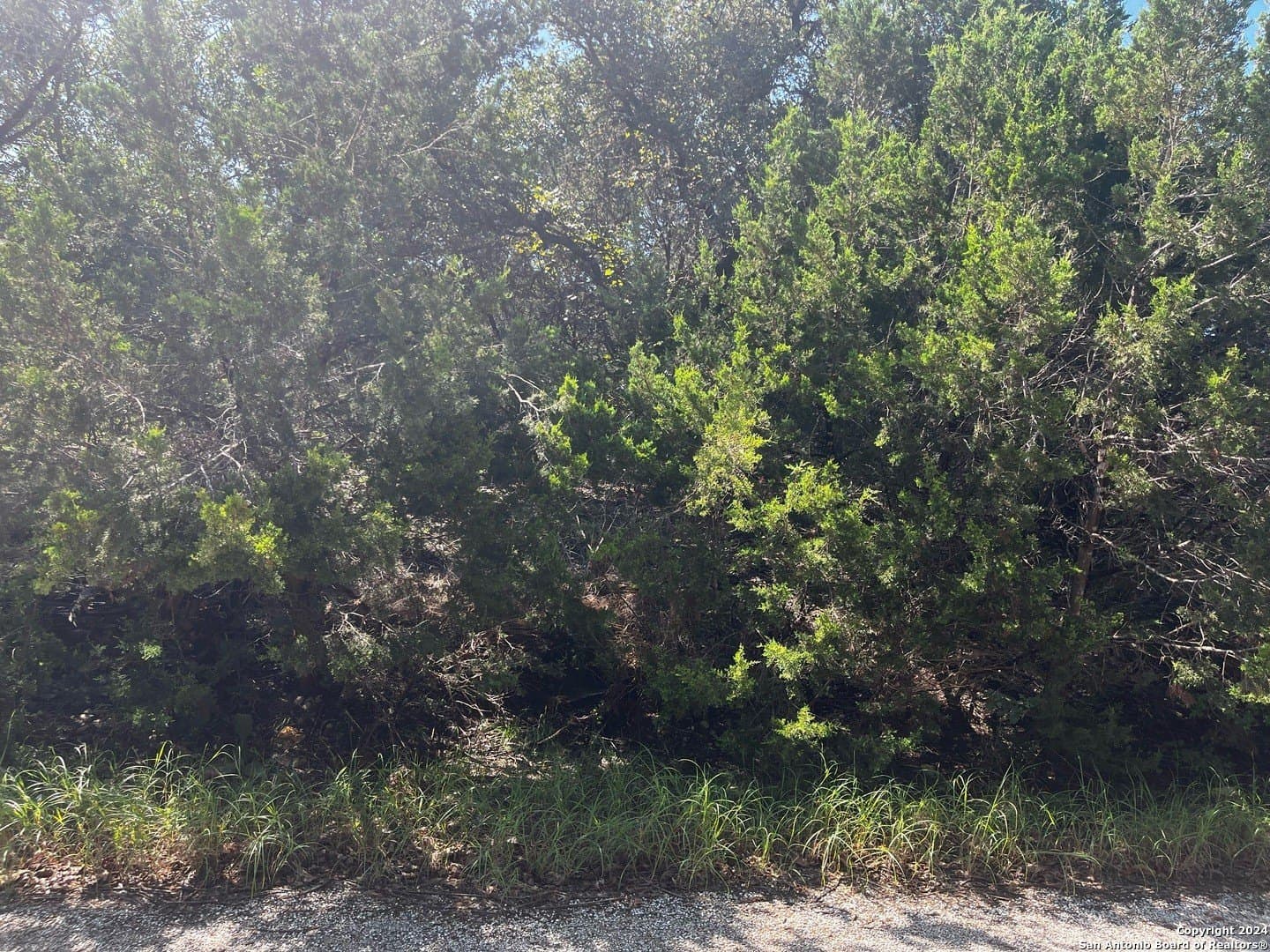 0.28 acres in Comal County - photo 7