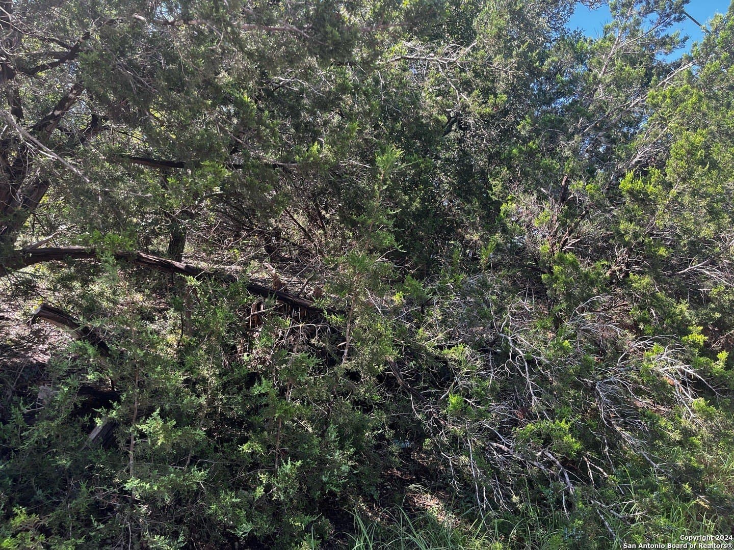 0.28 acres in Comal County - photo 6