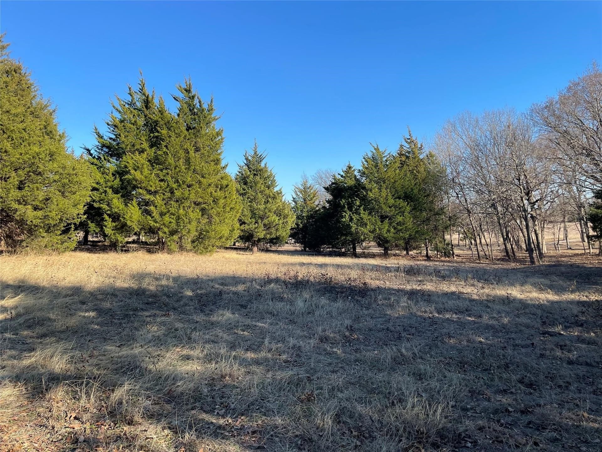 6.77 acres in Dallas County - photo 6