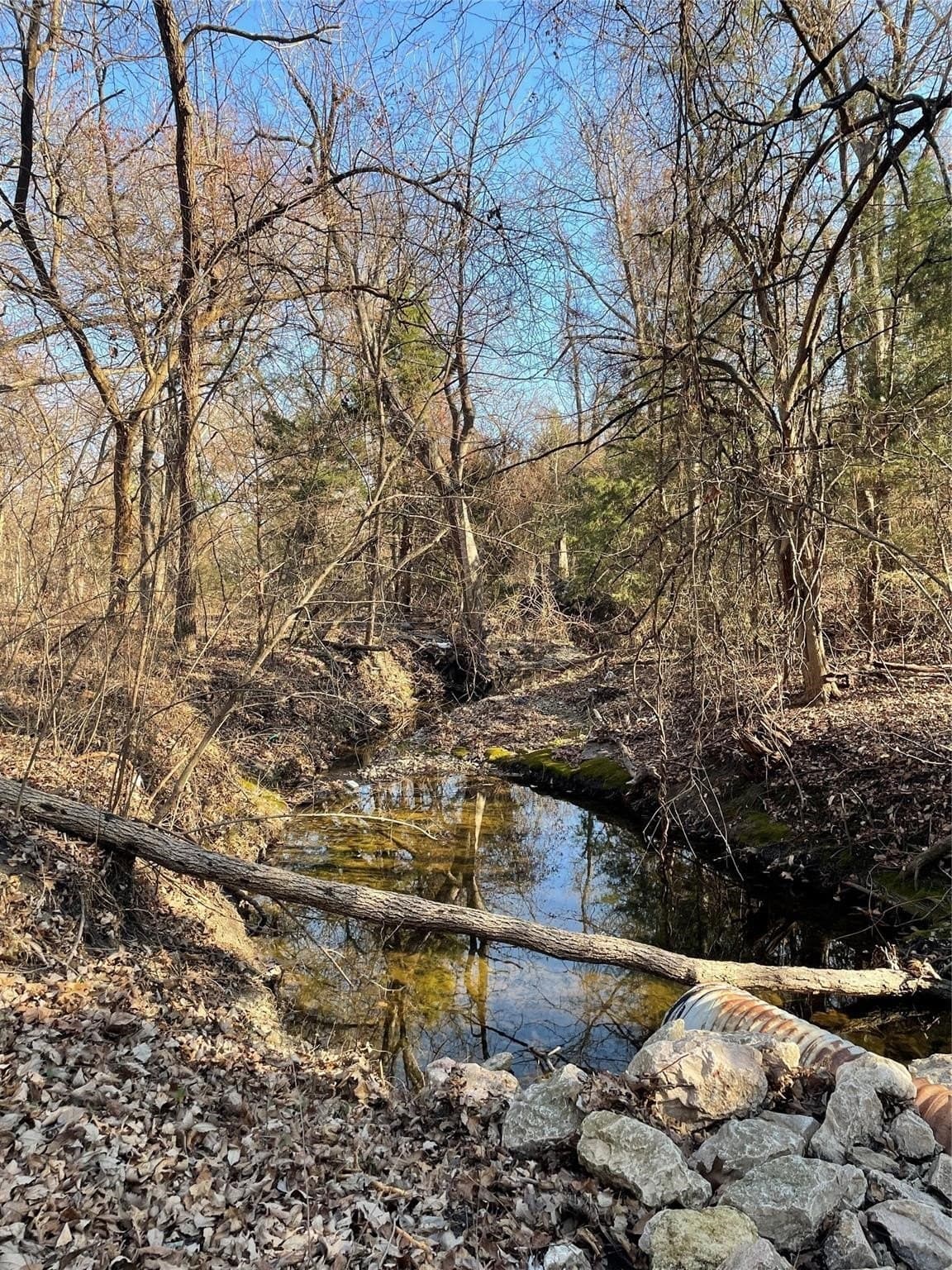 6.77 acres in Dallas County - photo 8