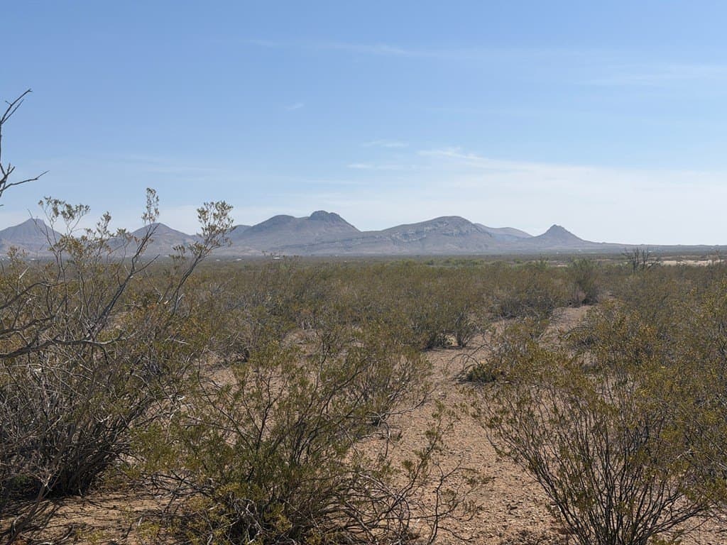 5 acres in Brewster County gallery image 3