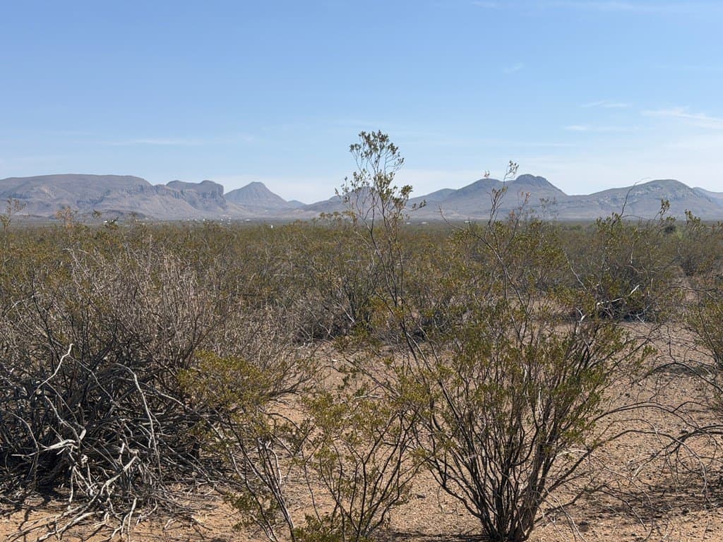 5 acres in Brewster County featured view