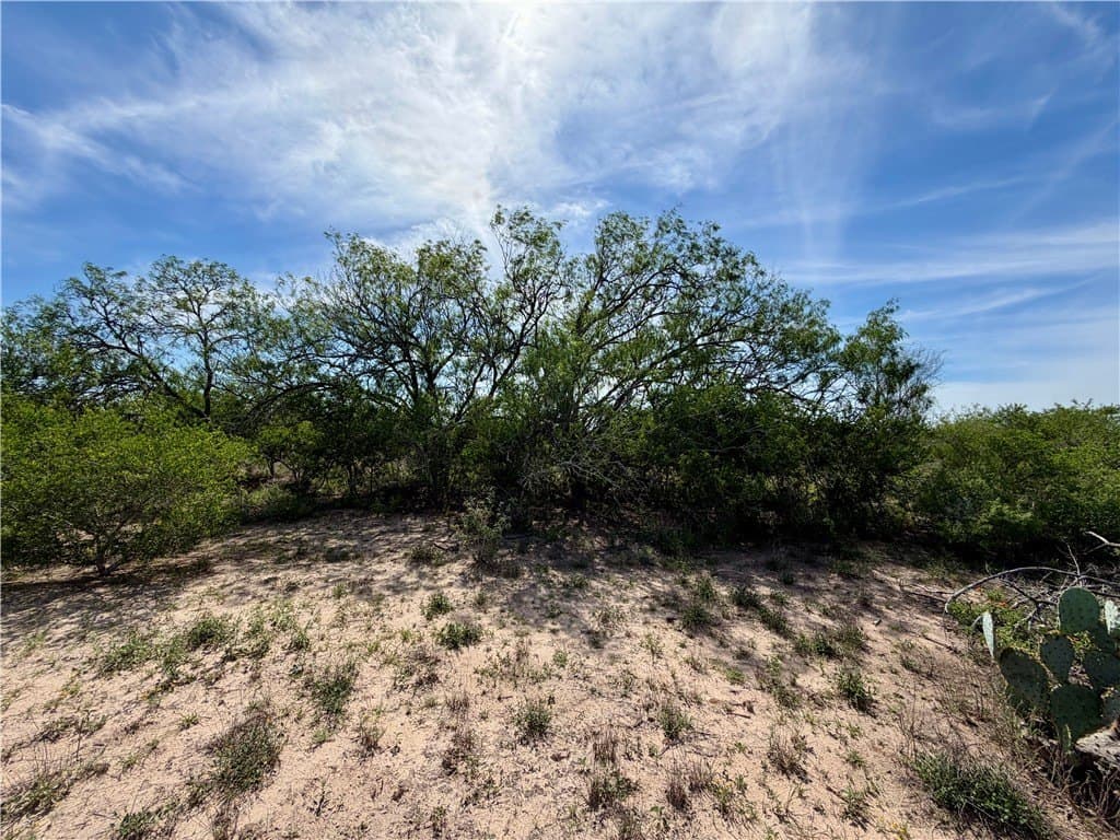 36 acres in Live Oak County featured view